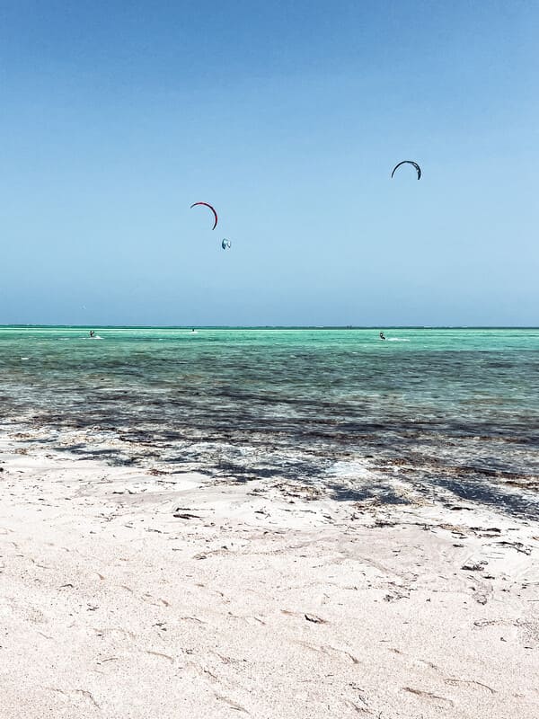 cosa fare a watamu