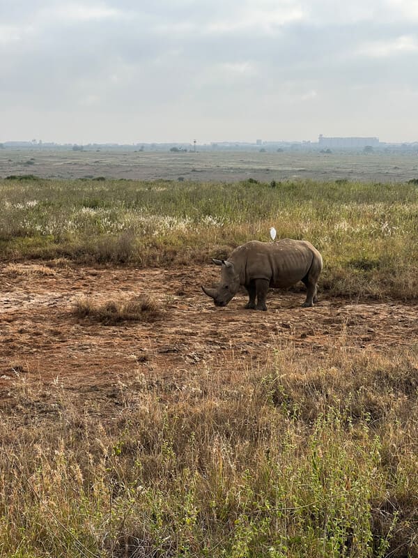 visitare Nairobi