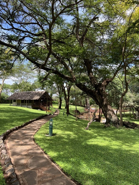 cosa vedere in Kenya
