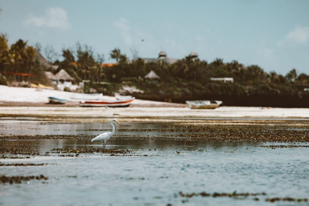 dove andare al mare in Kenya